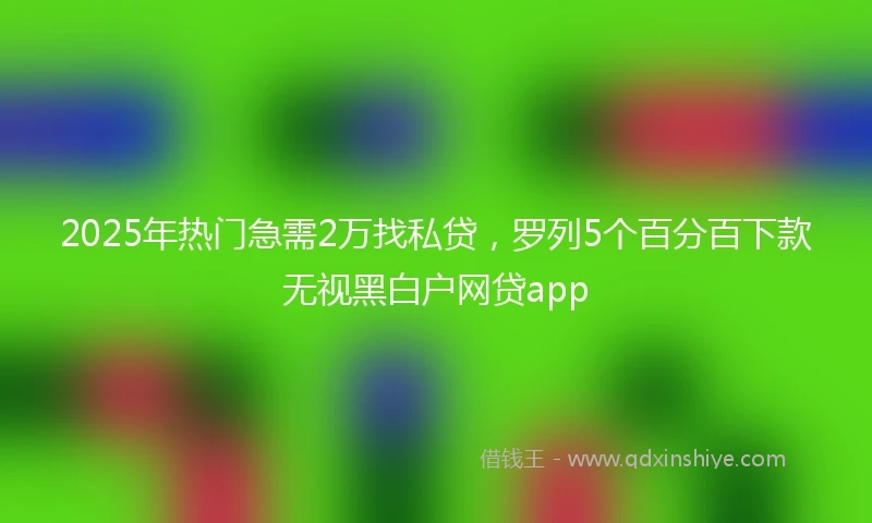 2025年热门急需2万找私贷，罗列5个百分百下款无视黑白户网贷app
