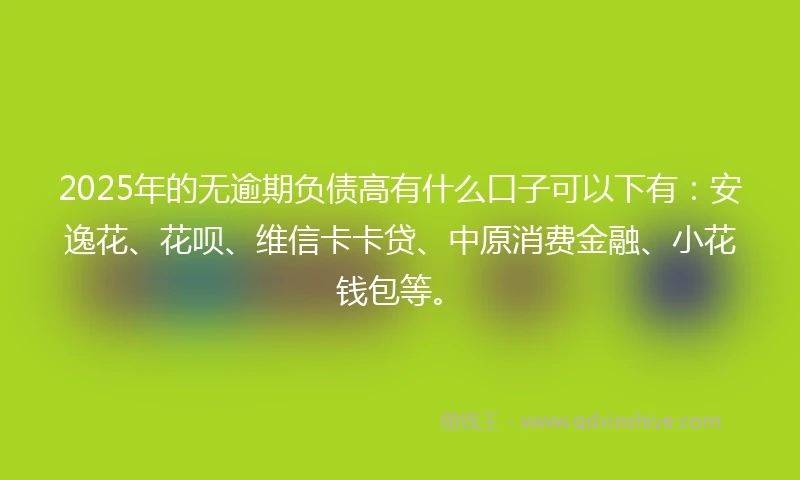 2025年的无逾期负债高有什么口子可以下有：安逸花、花呗、维信卡卡贷、中原消费金融、小花钱包等。