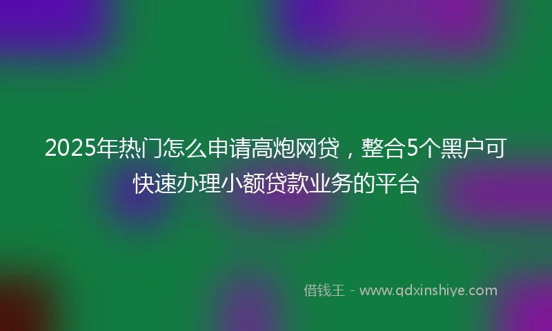 2025年热门怎么申请高炮网贷，整合5个黑户可快速办理小额贷款业务的平台