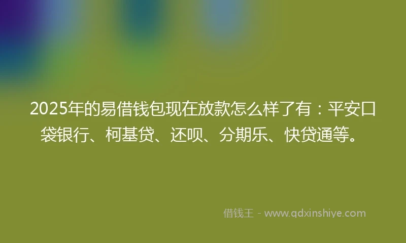 2025年的易借钱包现在放款怎么样了有：平安口袋银行、柯基贷、还呗、分期乐、快贷通等。