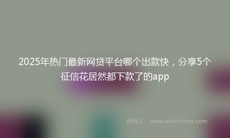 2025年热门最新网贷平台哪个出款快，分享5个征信花居然都下款了的app