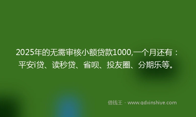 2025年的无需审核小额贷款1000,一个月还有：平安i贷、读秒贷、省呗、投友圈、分期乐等。