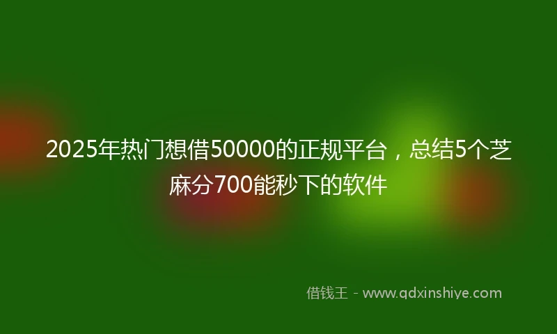 2025年热门想借50000的正规平台，总结5个芝麻分700能秒下的软件