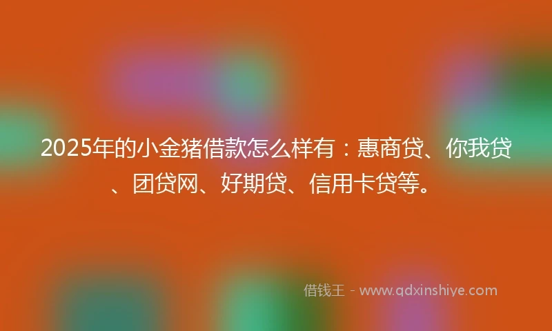 2025年的小金猪借款怎么样有：惠商贷、你我贷、团贷网、好期贷、信用卡贷等。