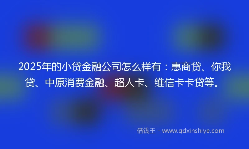 2025年的小贷金融公司怎么样有：惠商贷、你我贷、中原消费金融、超人卡、维信卡卡贷等。