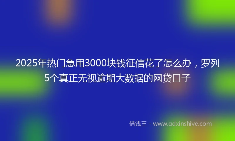 2025年热门急用3000块钱征信花了怎么办，罗列5个真正无视逾期大数据的网贷口子