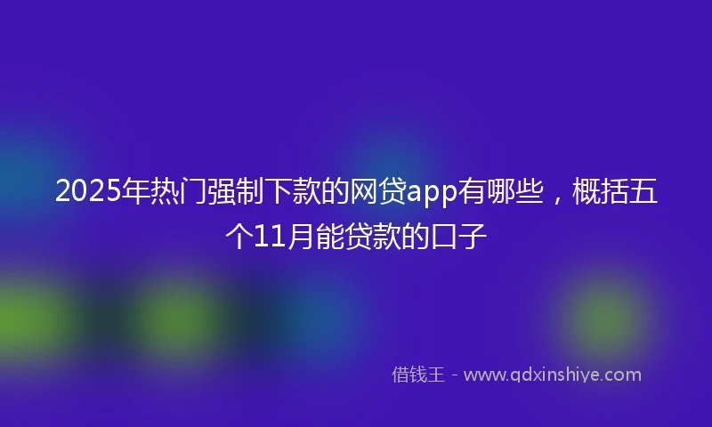 2025年热门强制下款的网贷app有哪些，概括五个11月能贷款的口子