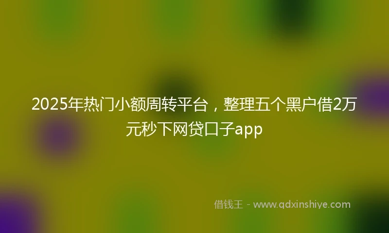 2025年热门小额周转平台，整理五个黑户借2万元秒下网贷口子app