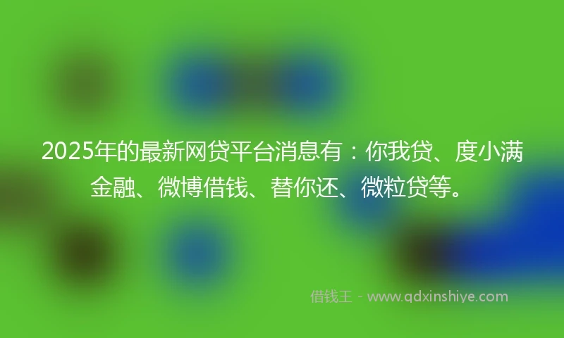 2025年的最新网贷平台消息有：你我贷、度小满金融、微博借钱、替你还、微粒贷等。