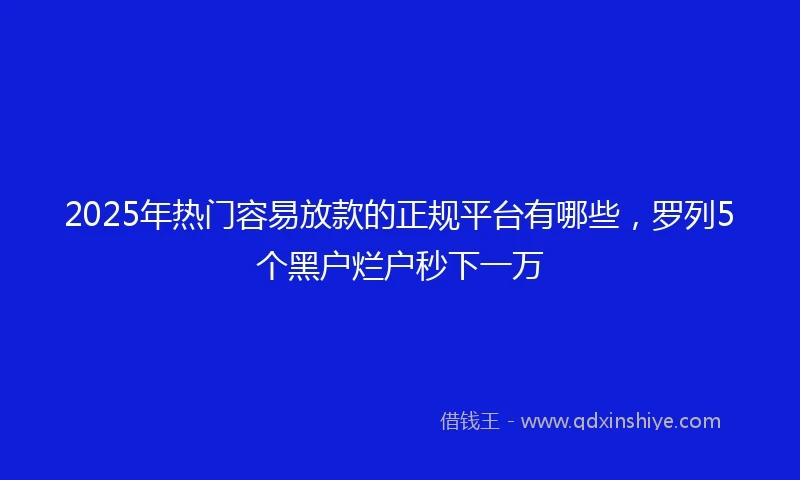2025年热门容易放款的正规平台有哪些，罗列5个黑户烂户秒下一万