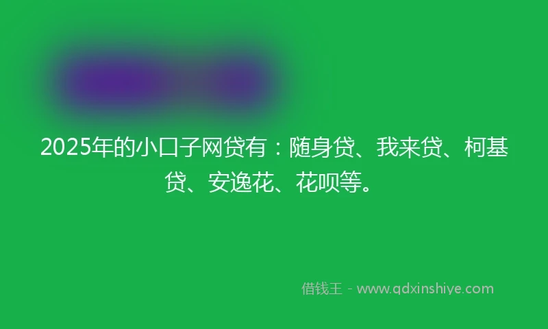 2025年的小口子网贷有：随身贷、我来贷、柯基贷、安逸花、花呗等。