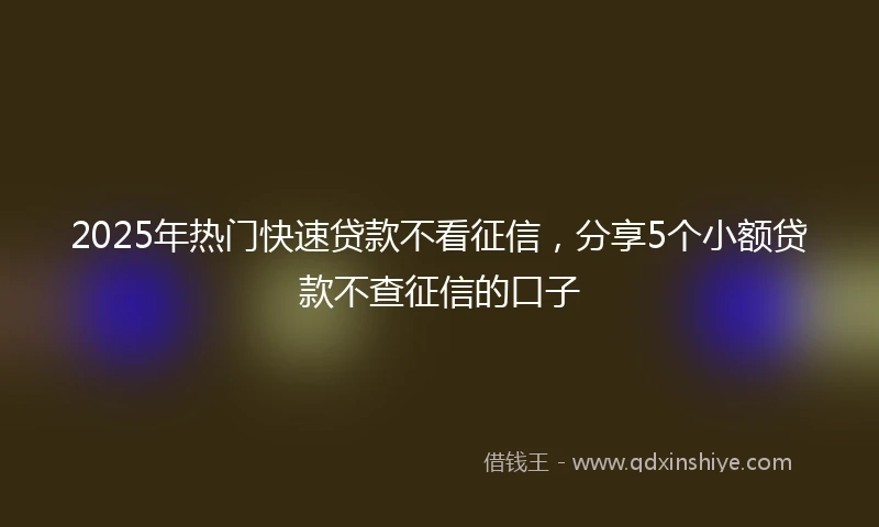 2025年热门快速贷款不看征信，分享5个小额贷款不查征信的口子