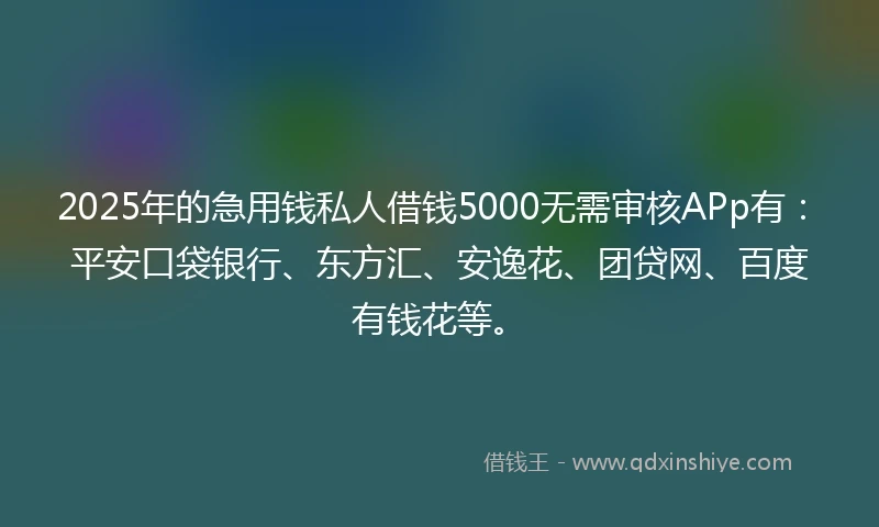 2025年的急用钱私人借钱5000无需审核APp有：平安口袋银行、东方汇、安逸花、团贷网、百度有钱花等。