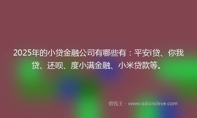 2025年的小贷金融公司有哪些有：平安i贷、你我贷、还呗、度小满金融、小米贷款等。