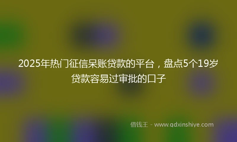 2025年热门征信呆账贷款的平台，盘点5个19岁贷款容易过审批的口子