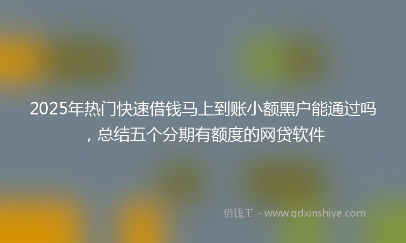 2025年热门快速借钱马上到账小额黑户能通过吗，总结五个分期有额度的网贷软件