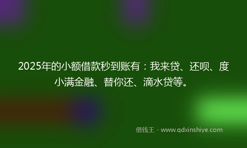 2025年的小额借款秒到账有：我来贷、还呗、度小满金融、替你还、滴水贷等。