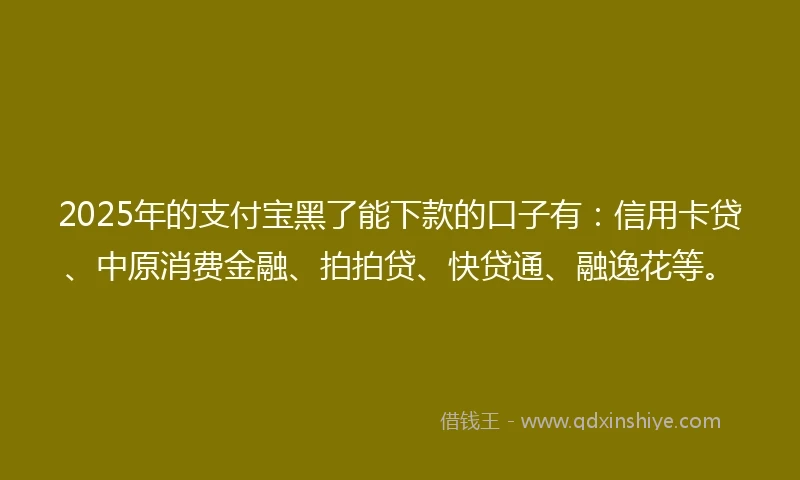 2025年的支付宝黑了能下款的口子有：信用卡贷、中原消费金融、拍拍贷、快贷通、融逸花等。