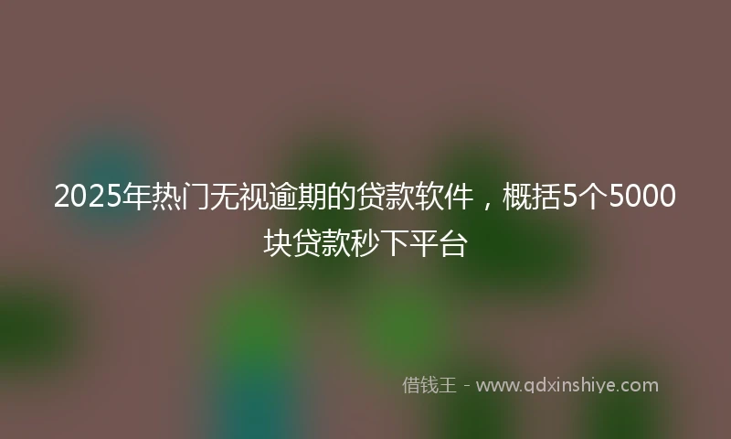 2025年热门无视逾期的贷款软件，概括5个5000块贷款秒下平台