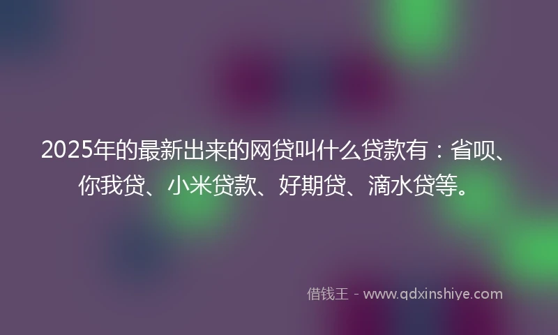 2025年的最新出来的网贷叫什么贷款有：省呗、你我贷、小米贷款、好期贷、滴水贷等。