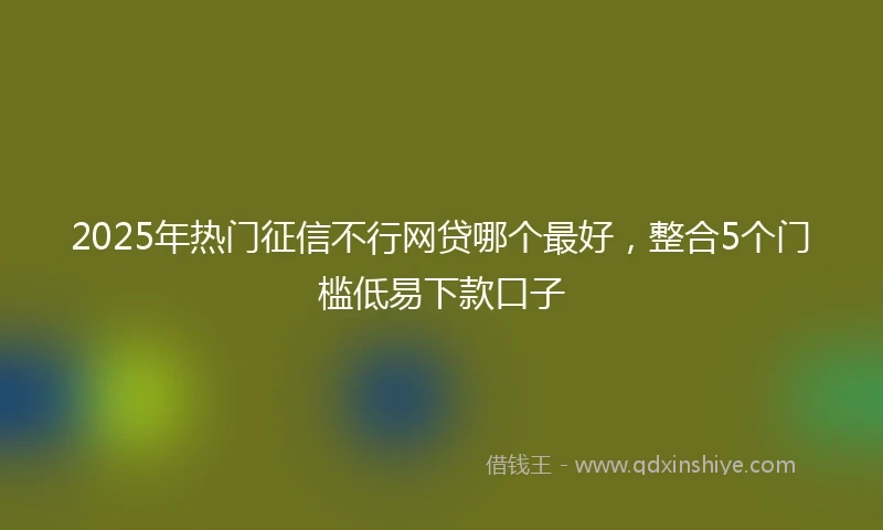 2025年热门征信不行网贷哪个最好，整合5个门槛低易下款口子