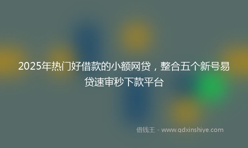 2025年热门好借款的小额网贷，整合五个新号易贷速审秒下款平台