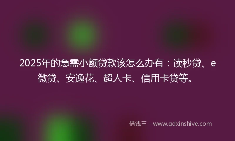 2025年的急需小额贷款该怎么办有：读秒贷、e微贷、安逸花、超人卡、信用卡贷等。