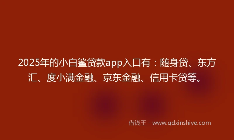 2025年的小白鲨贷款app入口有：随身贷、东方汇、度小满金融、京东金融、信用卡贷等。