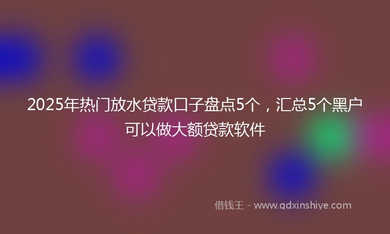 2025年热门放水贷款口子盘点5个，汇总5个黑户可以做大额贷款软件