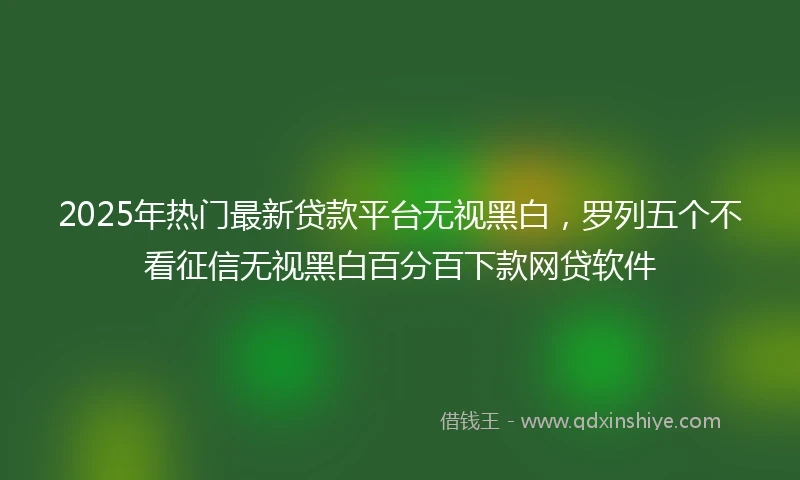 2025年热门最新贷款平台无视黑白，罗列五个不看征信无视黑白百分百下款网贷软件