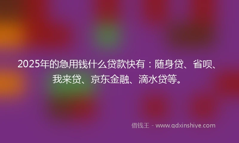 2025年的急用钱什么贷款快有：随身贷、省呗、我来贷、京东金融、滴水贷等。