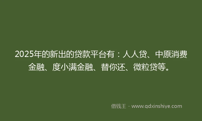 2025年的新出的贷款平台有：人人贷、中原消费金融、度小满金融、替你还、微粒贷等。