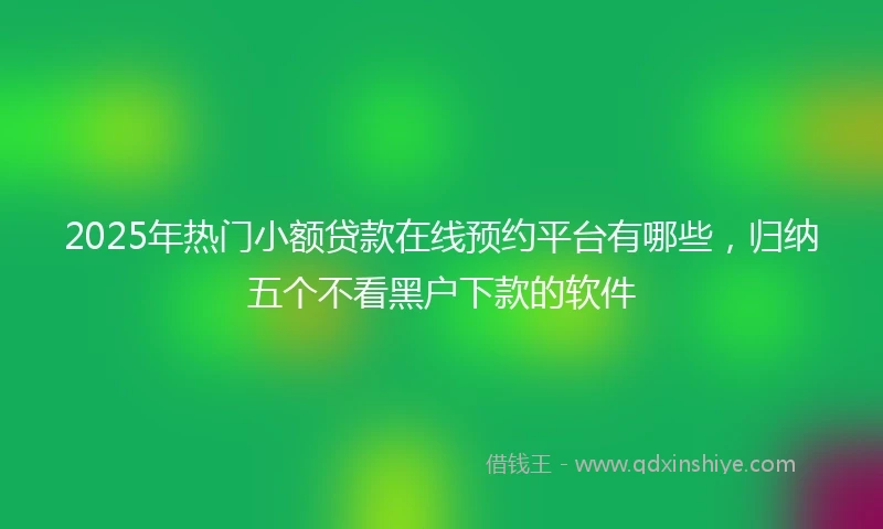 2025年热门小额贷款在线预约平台有哪些，归纳五个不看黑户下款的软件