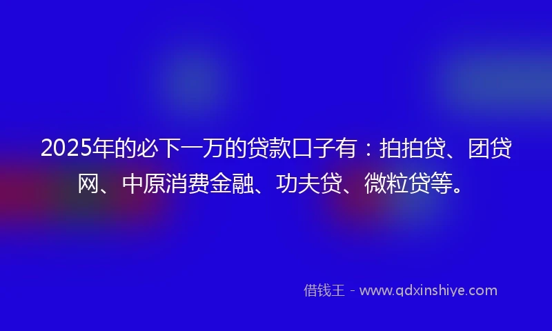 2025年的必下一万的贷款口子有：拍拍贷、团贷网、中原消费金融、功夫贷、微粒贷等。