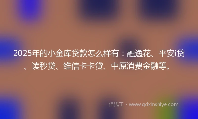 2025年的小金库贷款怎么样有：融逸花、平安i贷、读秒贷、维信卡卡贷、中原消费金融等。