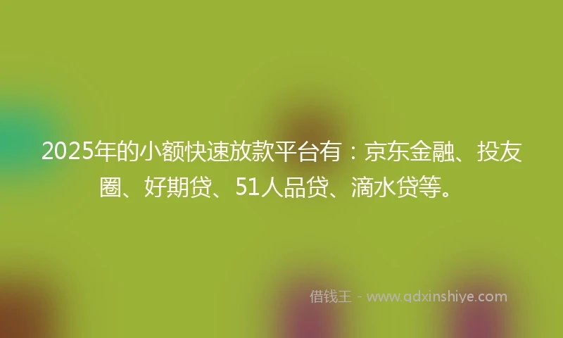 2025年的小额快速放款平台有：京东金融、投友圈、好期贷、51人品贷、滴水贷等。