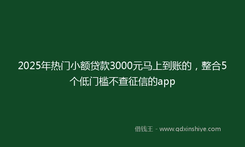 2025年热门小额贷款3000元马上到账的，整合5个低门槛不查征信的app