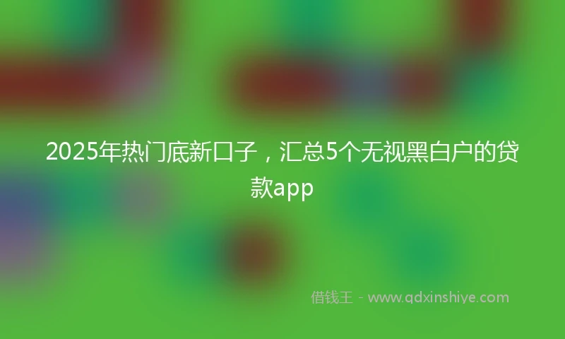 2025年热门底新口子，汇总5个无视黑白户的贷款app