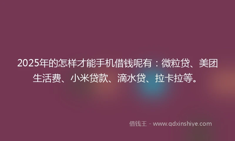2025年的怎样才能手机借钱呢有：微粒贷、美团生活费、小米贷款、滴水贷、拉卡拉等。