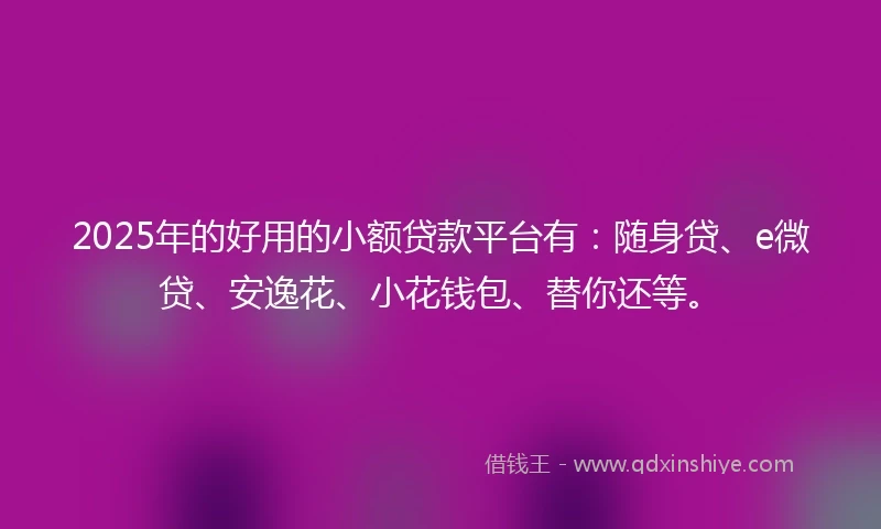 2025年的好用的小额贷款平台有：随身贷、e微贷、安逸花、小花钱包、替你还等。