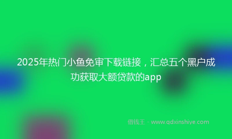 2025年热门小鱼免审下载链接，汇总五个黑户成功获取大额贷款的app