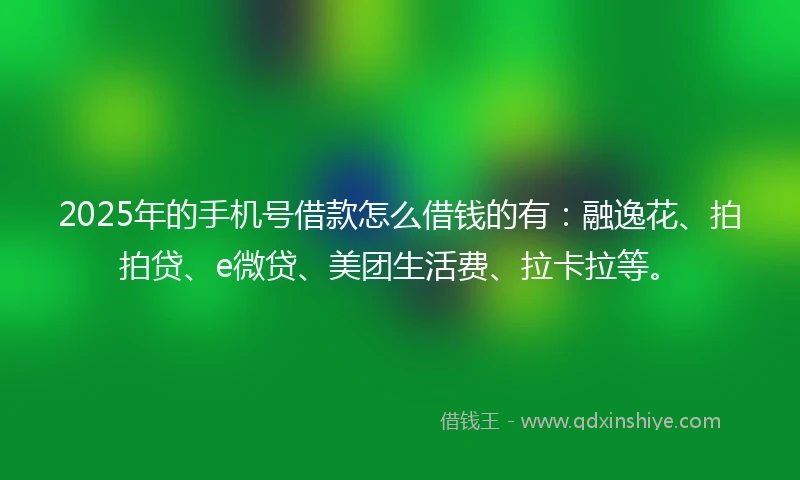 2025年的手机号借款怎么借钱的有：融逸花、拍拍贷、e微贷、美团生活费、拉卡拉等。