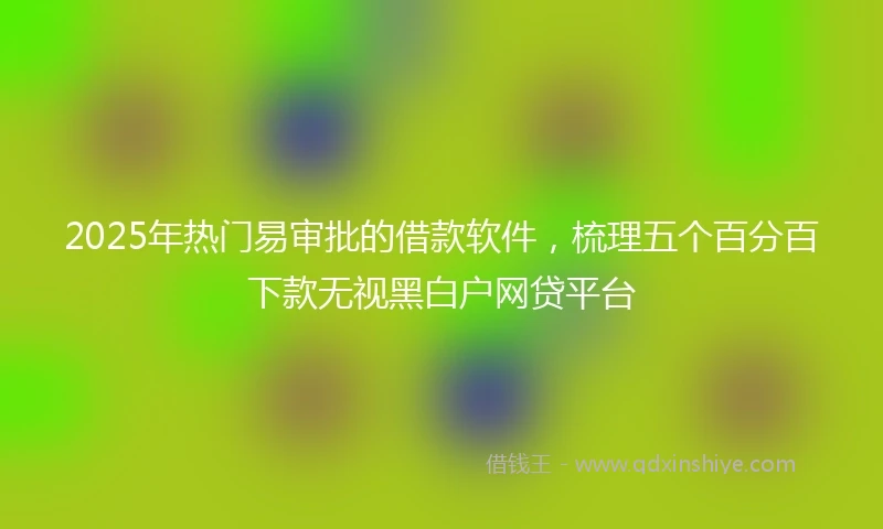 2025年热门易审批的借款软件，梳理五个百分百下款无视黑白户网贷平台