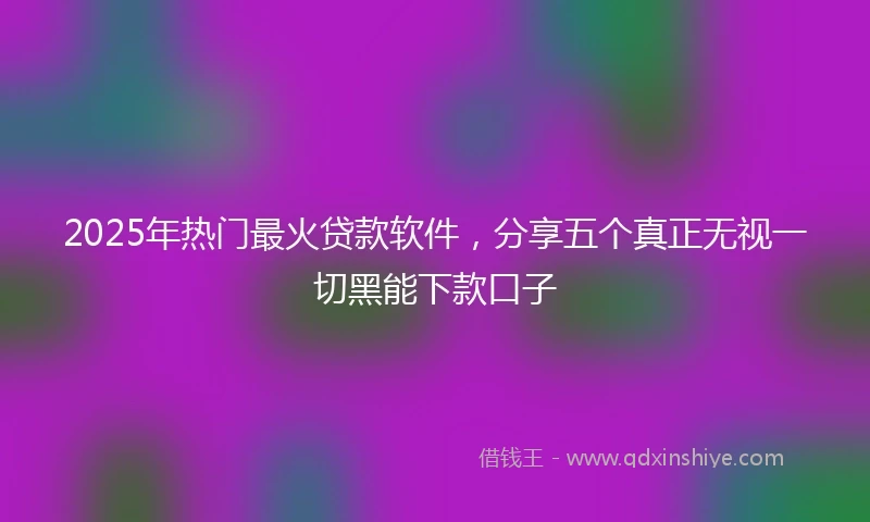 2025年热门最火贷款软件，分享五个真正无视一切黑能下款口子
