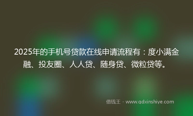 2025年的手机号贷款在线申请流程有：度小满金融、投友圈、人人贷、随身贷、微粒贷等。