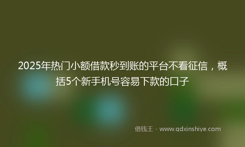 2025年热门小额借款秒到账的平台不看征信，概括5个新手机号容易下款的口子