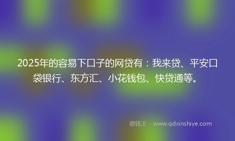 2025年的容易下口子的网贷有：我来贷、平安口袋银行、东方汇、小花钱包、快贷通等。