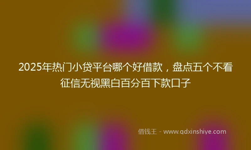 2025年热门小贷平台哪个好借款，盘点五个不看征信无视黑白百分百下款口子