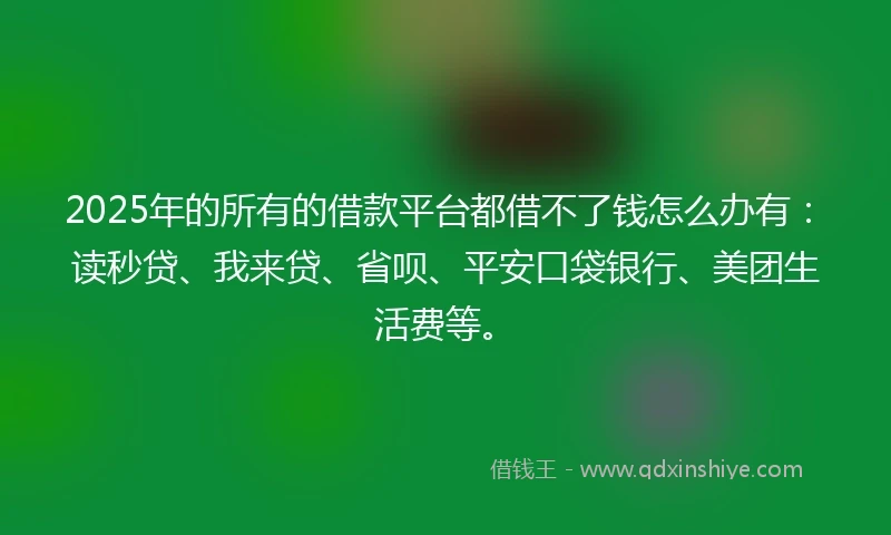 2025年的所有的借款平台都借不了钱怎么办有：读秒贷、我来贷、省呗、平安口袋银行、美团生活费等。