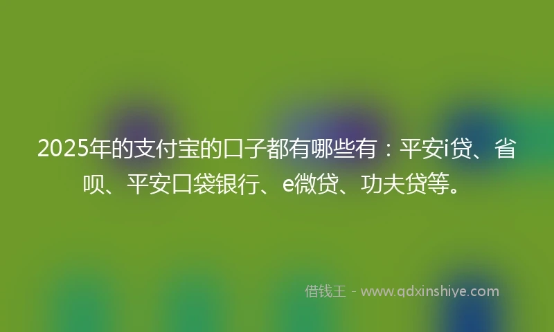 2025年的支付宝的口子都有哪些有：平安i贷、省呗、平安口袋银行、e微贷、功夫贷等。